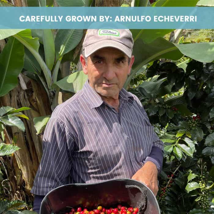 Picture of Arnulfo Echeverri one of Hatillo Coffee's specialty coffee farmers holding a bucket of ripe coffee cherries in his Las Soledades farm in El retiro Antioquia Colombia