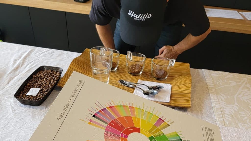 Picture of Miguel Echeverri, Hatillo Coffee's co-founder and Chief Quality Officer, smelling three samples of ground specialty coffee to look for fragrance during a coffee cupping procedure