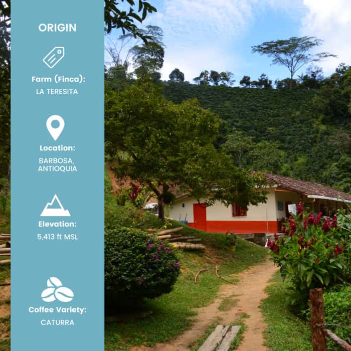 picture of Hatillo Coffee's specialty colombian coffee farm in Barbosa, Antioquia with infographic showing the main characteristics of the La Teresita farm