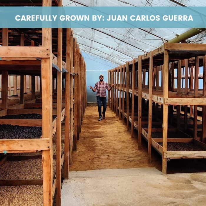 Picture of Juan Carlos Guerra one of Hatillo Coffee's specialty coffee farmers in his La Loma farm Ciudad Bolivar, Antioquia Colombia