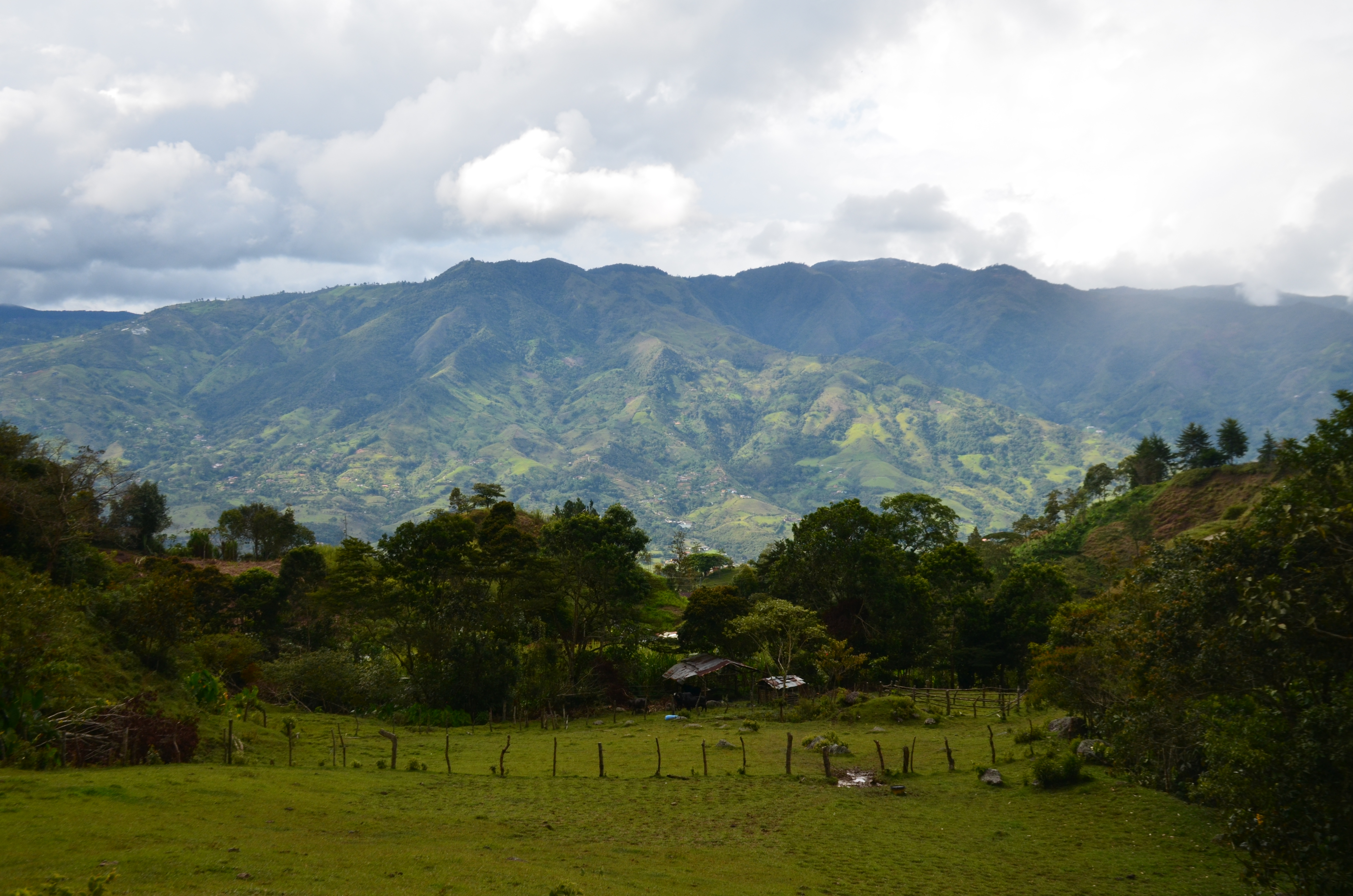 picture of the landscape from La Teresita specialty coffee farm showing the green andean mountains of colombia by Hatillo Coffee